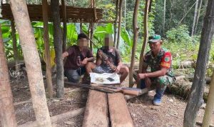 Senjata yang diserahkan mantan anggota TPNPB Kodap V Papua Selatan – Surya Papua/IST