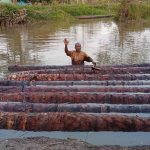 Yakobus Yamtob saat sedang mendorong batang pohon sagu di sekitar pelabuhan – Surya Papua/IST