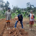 Aktivitas yang dilakukan warga setempat untuk berkebun – Surya Papua/IST