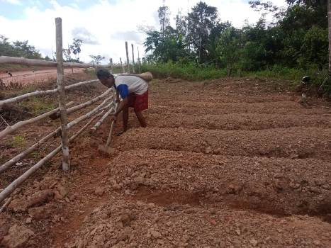 Bedeng yang sudah jadi dan siap ditanami aneka tanaman – Surya Papua/IST