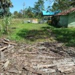 Inilah kondisi badan jalan masuk ke lokasi produksi sagu milik Yakobus Yamtob di Kampung Tambat – Surya Papua/Frans Kobun