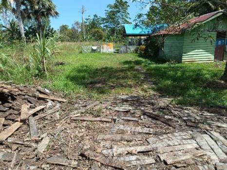 Inilah kondisi badan jalan masuk ke lokasi produksi sagu milik Yakobus Yamtob di Kampung Tambat – Surya Papua/Frans Kobun