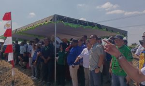 Bupati Merauke, Romanus Mbaraka ketika sedang melihat kegiatan sekolah lapang – Surya Papua/Frans Kobun