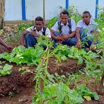 Siswa-siswi di SMA Golden Gate Merauke yang menanam sayur-sayuran – Surya Papua/Ernes Kakesina