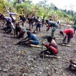 Masyarakat sedang menanam anakan pohon pisang – Surya Papua/IST