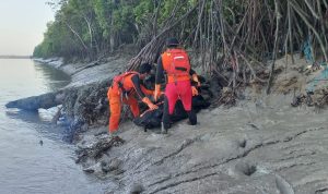 Korban Taufik Kurniawan sedang dievakuasi tim SAR tadi pagi – Surya Papua/IST