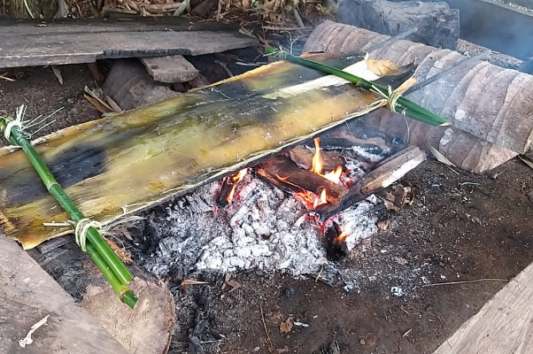 Kegiatan bakar sagu sep dengan arang kayu – Surya Papua/IST