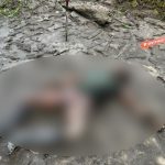 Aparat kepolisan di Polres Yahukimo sedang melakukan olah TKP sekaligus evakuasi terhadap lima jenazah – Surya Papua/IST