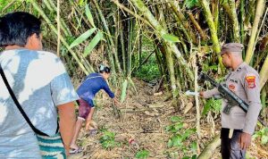 Salah seorang saksi sedang menunjuk lokasi atau tempat bayi yang ditemukan di bawah pohon bambu – Surya Papua/IST
