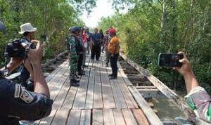 Bupati Merauke, Romanus Mbaraka saat meninjau jembatan kayu yang merupakan penghubung ke Batu Merah- Surya Papua/Frans Kobun