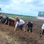 Bupati Merauke, Romanus Mbaraka didampingi sejumlah pejabat sedang melakukan penanaman bawang di Dusun Yogim, Kmapung Kumbe – Surya Papua/Frans Kobun