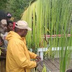 Bupati Merauke, Romanus Mbaraka meresmikan jembatan kayu di Kampung Kondo, Distrik Naukenjeray