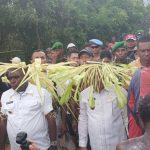 Bupati-Wakil Bupati Merauke, Romanus Mbaraka-H. iduwan saat disambut ratusan masyarakat dari kampung-kampung di Distrik Okaba – Surya Papua/Frans Kobun