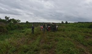 Danrem 174/ATW, Brigjen TNI Agus Widodo sedang melakukan peninjauan lahan di Kampung Yaba Maru, Distrik Tanah Miring – Surya Papua/IST