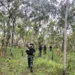 belantara-- Satgas Pamtas Statis Yonif 726-Tamalatea yang sedang menyusuri hutan belantara melakukan pengecekan tapal batas RI-PNG – Surya Papua/IST