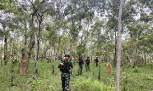 Satgas Pamtas Statis Yonif 726-Tamalatea yang sedang menyusuri hutan belantara melakukan pengecekan tapal batas RI-PNG – Surya Papua/IST