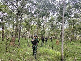 Satgas Pamtas Statis Yonif 726-Tamalatea yang sedang menyusuri hutan belantara melakukan pengecekan tapal batas RI-PNG – Surya Papua/IST