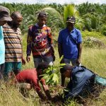 Kegiatan penanaman pohon buah durian di lahan milik masyarakat Kampung Ujungkia, Distrik Ki, Kabupaten Boven Digoel – Surya Papua/IST