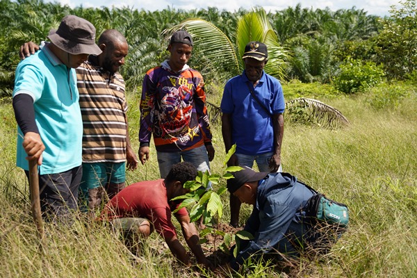 Kegiatan penanaman pohon buah durian di lahan milik masyarakat Kampung Ujungkia, Distrik Ki, Kabupaten Boven Digoel – Surya Papua/IST