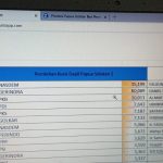 Tabel data caleg dan perolehan suara untuk Dapil Papua Selatan I – Surya Papua/IST