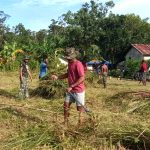 Lapangan yang sedang dibersihkan untuk persiapan penutupan TMMD ke-119 di Kampung Poepe, Distrik Ngguti, Kabupaten Merauke – Surya Papua/IST