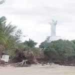 Pohon tumbang di sekitar Pantai Pulau Habe beberapa waktu lalu – Surya Papua/Frans Kobun