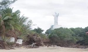 Pohon tumbang di sekitar Pantai Pulau Habe beberapa waktu lalu – Surya Papua/Frans Kobun