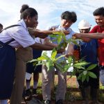 Kolaborasi penanaman oleh pihak perusahaan dan pihak sekolah SMP Negeri Mam dalam kegiatan kampanye pelestarian lingkungan – Surya Papua/IST