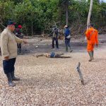 Sesosok mayat yang ditemukan masyarakat di sekitar Kali Youw, Kampung Wambi, Distrik Okaba, Kabupaten Merauke – Surya Papua/IST