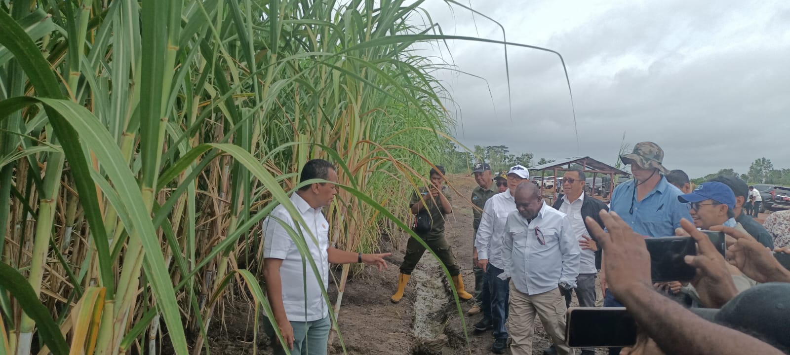 Bupati Merauke, Romanus Mbaraka saat mendampingi Menteri Ivestasi, Bahlil Lahadalia melakukan peninjauan tanaman tebu yang sedang dalam proses uji coba oleh PT Global Papua Abadi di Kampung Sermayan, Distrik Tanah Miring beberapa waktu lalu – Surya Papua/Frans Kobun