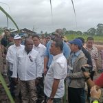 Menteri Investasi-Kepala Badan Koordinasi Penanaman Modal, Bahlil Lahadalia saat bersama Bupati Merauke, Romanus Mbaraka serta sejumlah pejabat lain meninjau lokasi pembibitan tebu – Surya Papua/Frans Kobun