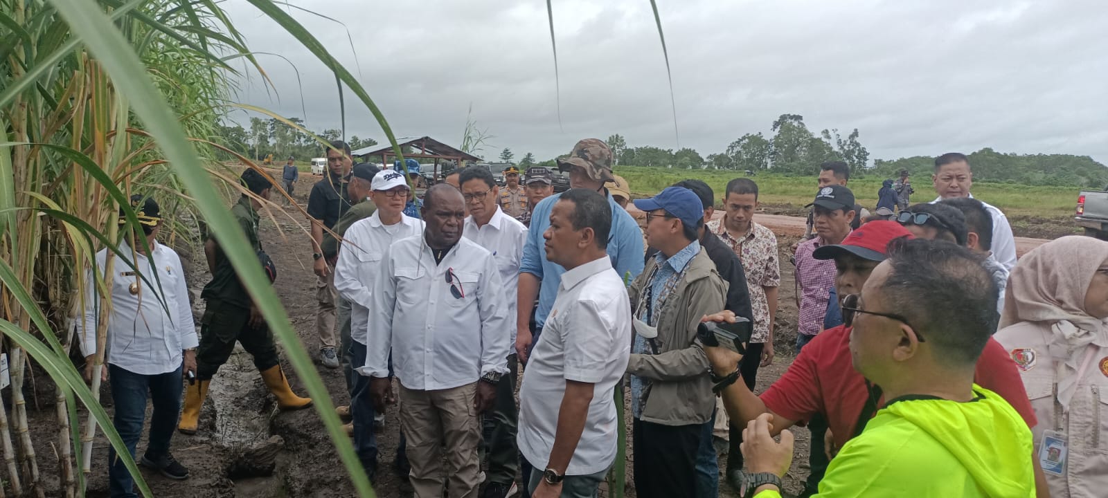 Menteri Investasi-Kepala Badan Koordinasi Penanaman Modal, Bahlil Lahadalia saat bersama Bupati Merauke, Romanus Mbaraka serta sejumlah pejabat lain meninjau lokasi pembibitan tebu – Surya Papua/Frans Kobun