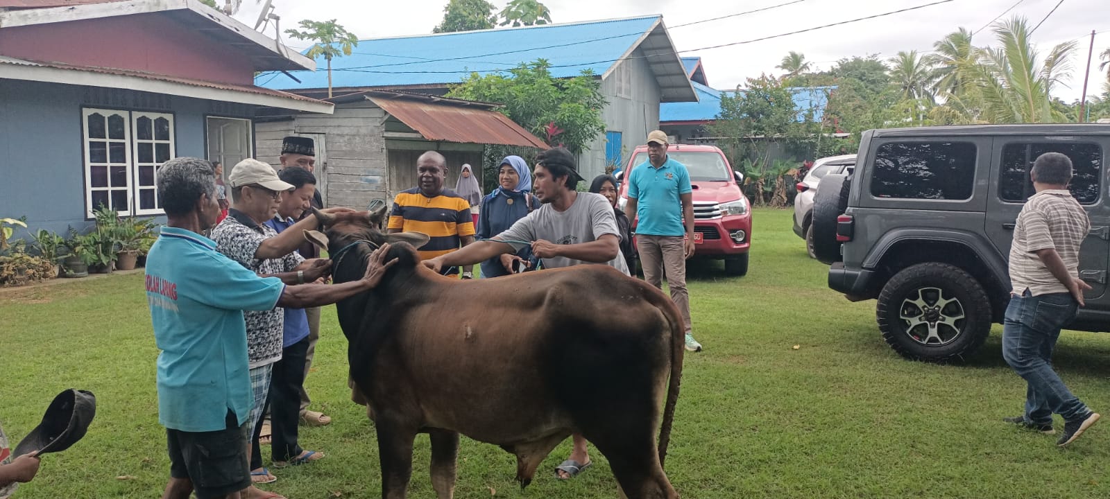 Penyerahan sapi kurban ke PKM di Masjid Gudang Arang tadi pagi – Surya Papua/Frans Kobun