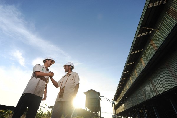 Industri kelapa sawit tak bisa berdiri sendiri, ada banyak profesi yang mendukung industri tersebut dari belakang – Surya Papua/IST