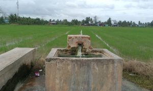 Air hangat yang berada di Kampung Ngguti Bob, Distrik Tanah Miring, Kabupaten Merauke – Surya Papua/Frans Kobun