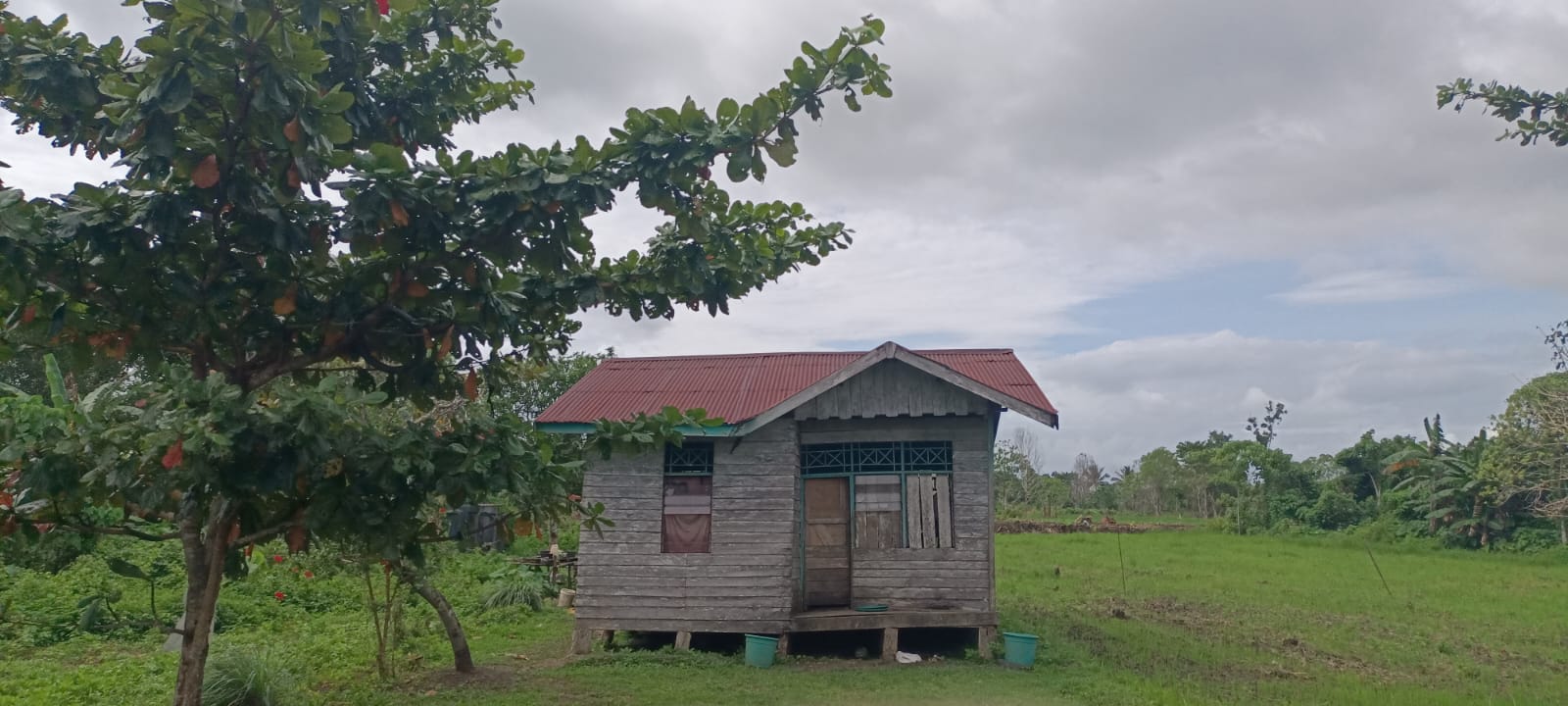 Inilah perumahan warga tanpa jaringan listrik di Dusun Serkambu, Kampung Senayu, Kabupaten Merauke – Surya Papua/Frans Kobun