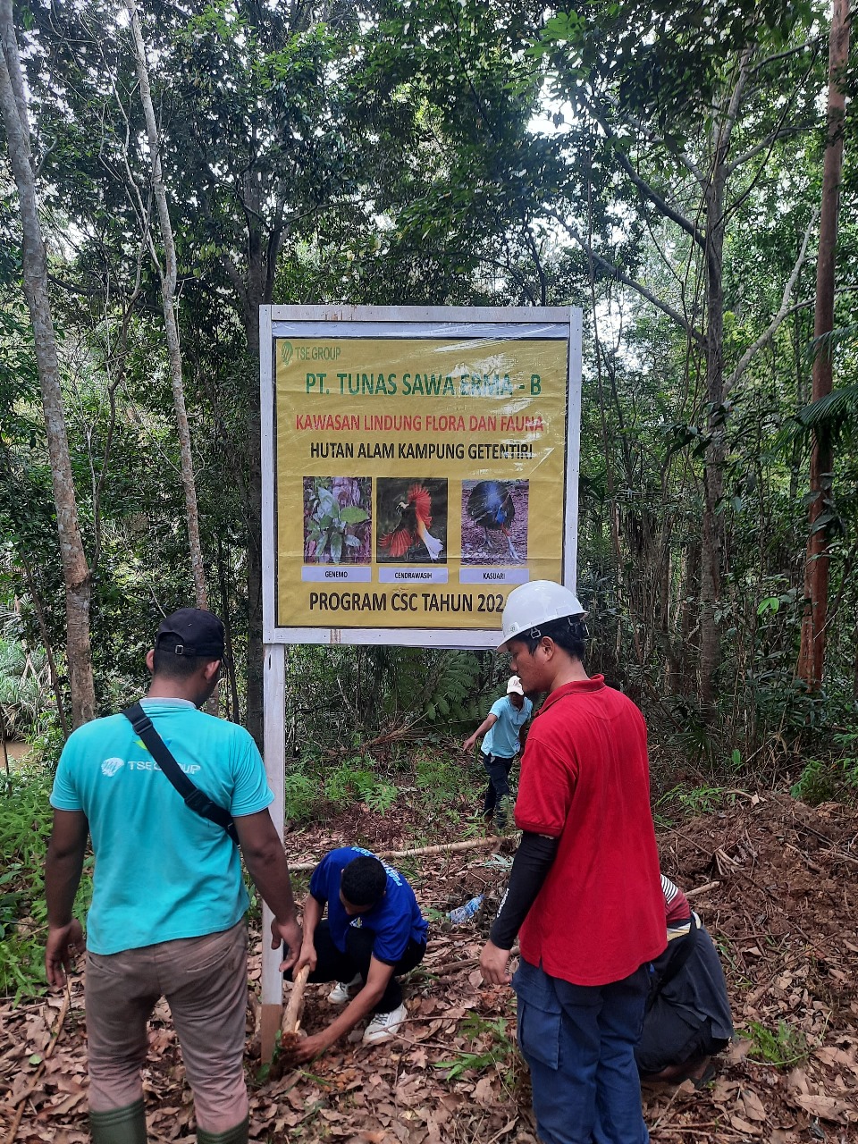 Pemasangan gambar bertuliskan sejumlah flora dan fauna dalam bentuk spanduk – Surya Papua/IST