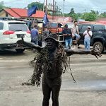Salah seorang warga yang melumuri badannya dengan lumpur saat ikut menjempout Cagub-Cawagub papua Selatan, Romanus Mbaraka-Albertus Muyak – Surya Papua/Frans Kobun