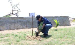 Ketua KPU Provinsi Paoua Selatan, Theresia Mahuze sedang melakukan penanaman pohon – Surya Papua/IST