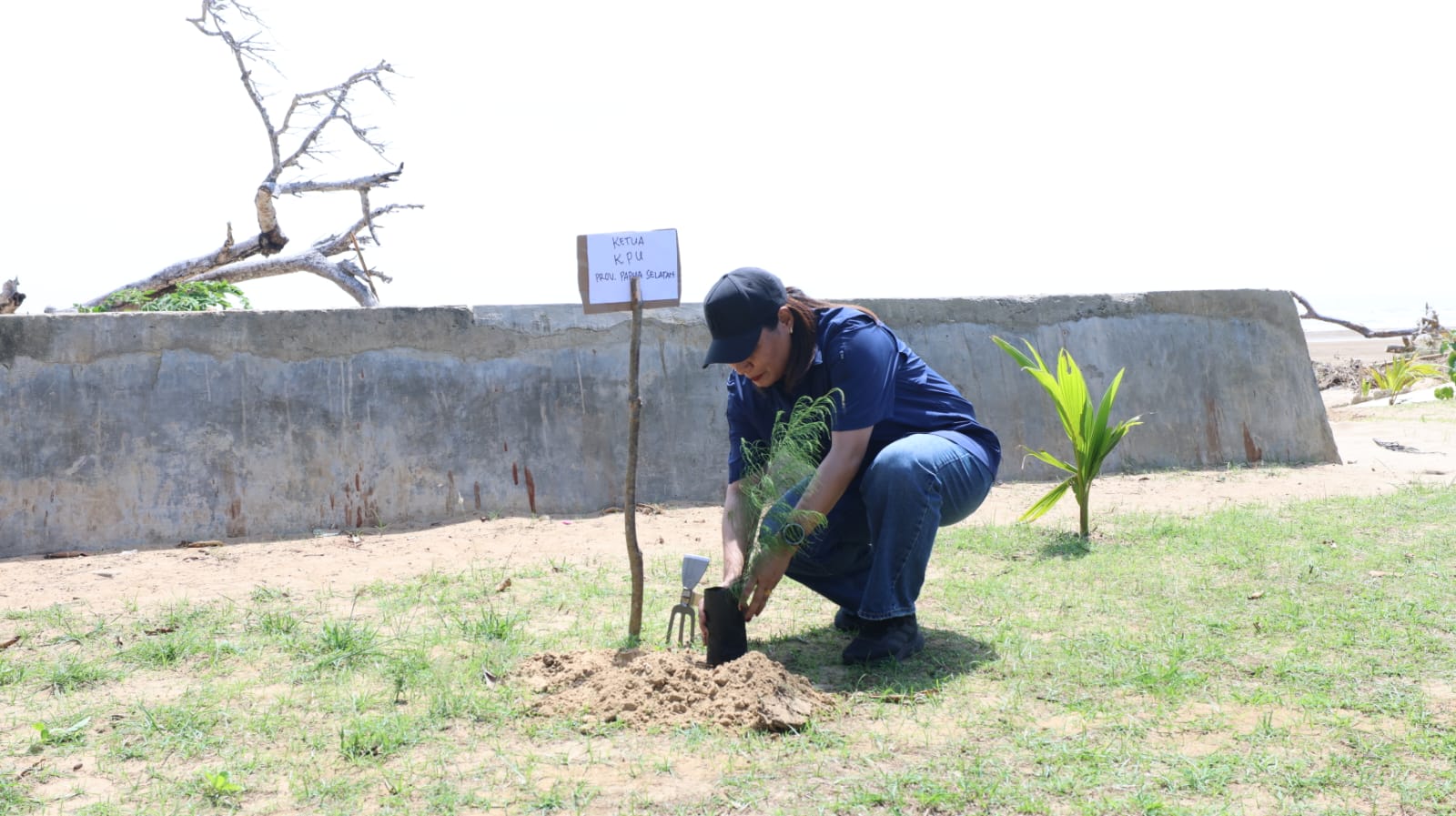 Ketua KPU Provinsi Paoua Selatan, Theresia Mahuze sedang melakukan penanaman pohon – Surya Papua/IST