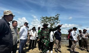 Peninjauan lahan pertanian di Kampung Urumb, Distrik Semangga, Kabupaten Merauke – Surya Papua/IST