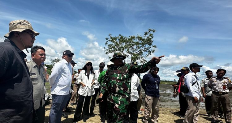 Peninjauan lahan pertanian di Kampung Urumb, Distrik Semangga, Kabupaten Merauke – Surya Papua/IST