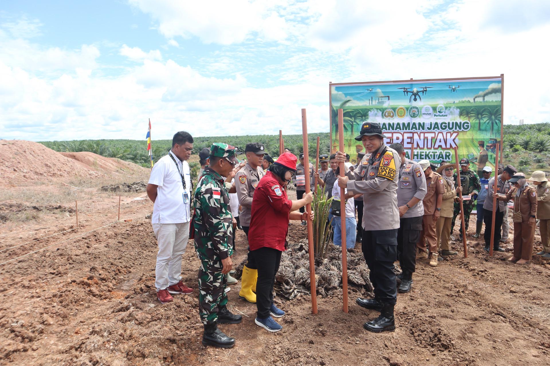 Kapolres Merauke, Ajun Komisaris Besar Polisi (AKBP) Leonardo Yoga bersama stakeholder terkait sedang menanam jagung – Surya Papua/ist