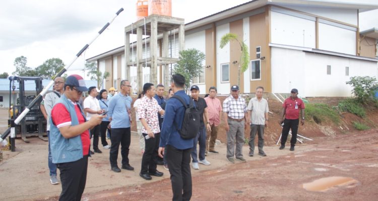 Peninjauan perkebunan tebu di Kampung Ngguti Bob, Distrik Tanah Miring- Surya Papua/IST