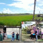Alsintan dari Kementan RI yang mulai didistribusikan ke kampung-kampung – Surya Papua/IST
