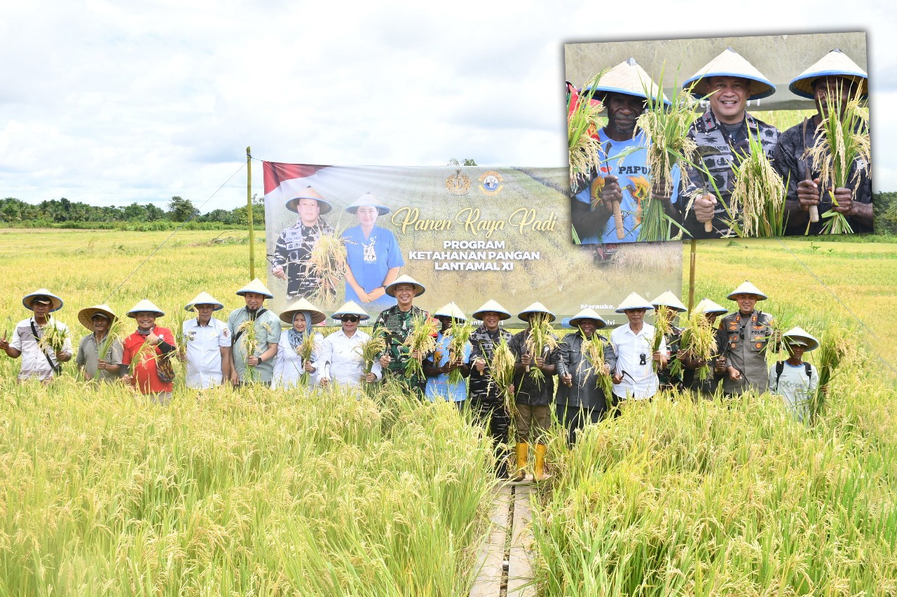 Kegiatan panen perdana padi di Kmapung Ngguti Bob, Distrik Tanah Miring, Kabupaten Merauke – Surya Papua/IST