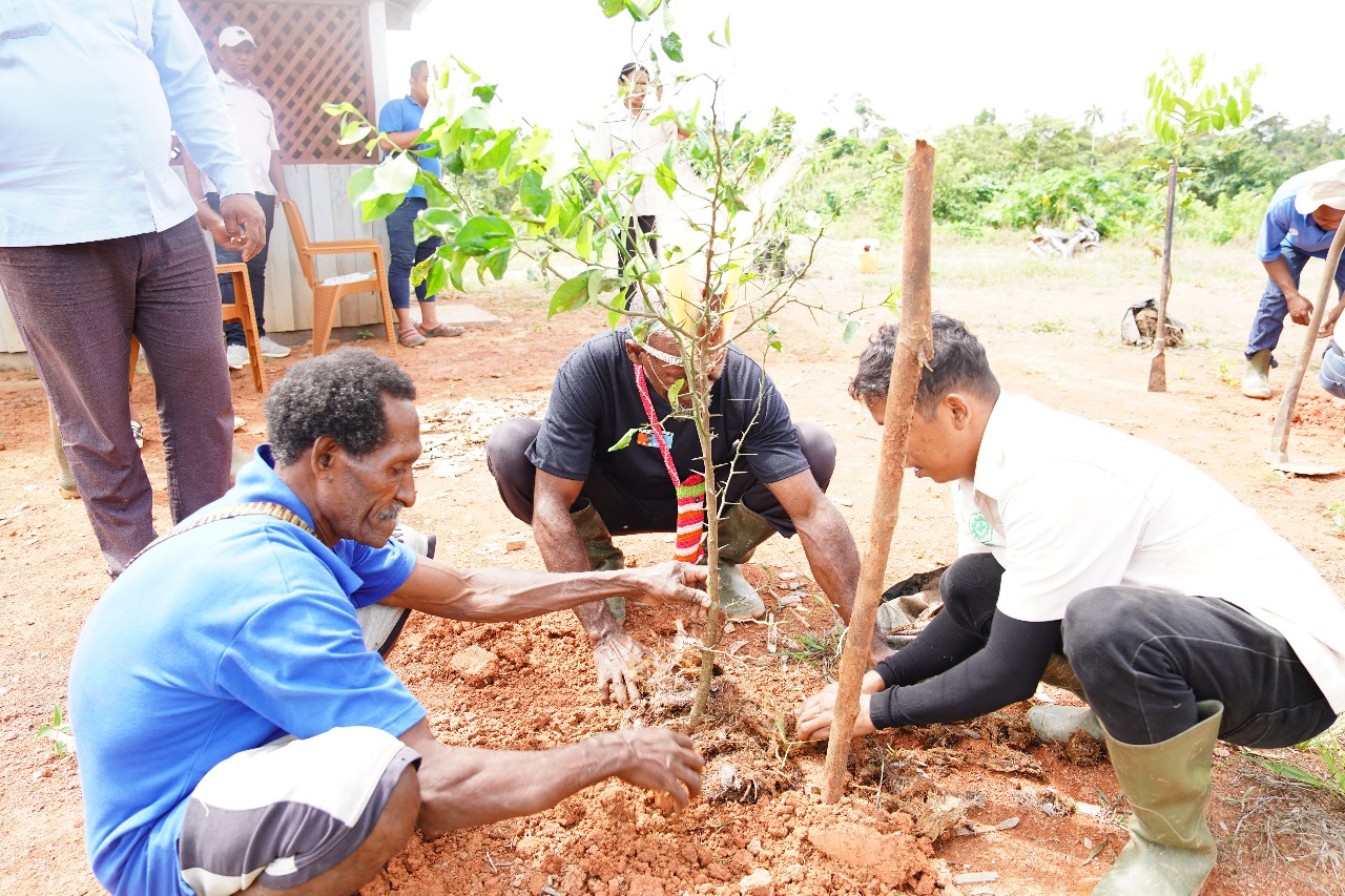 Kegiatan penanaman sejumlah anakan pohon antara masyarakat bersama TSE Group – Surya Papua/IST