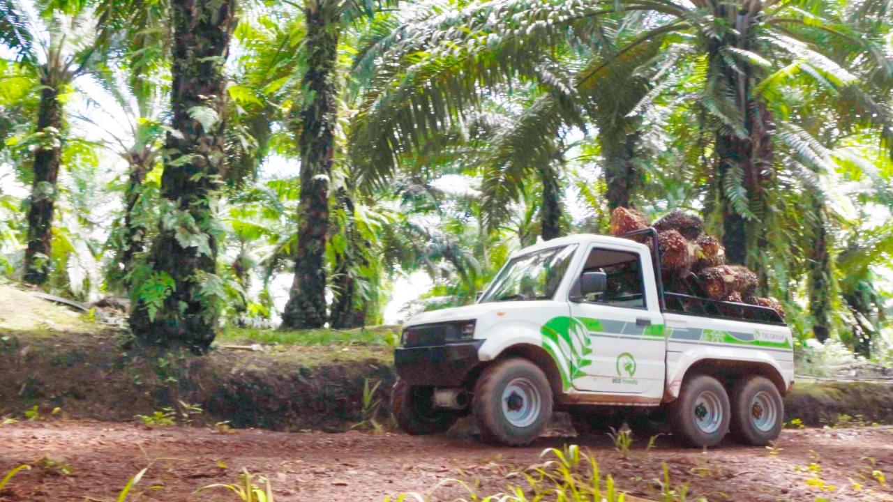 Kendaraan listrik yang siap digunakan sebagai strategi mengurangi dampak perubahan iklim – Surya Papua/IST