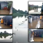 Banjir yang menggenangi perumahan masyarakat dalam wilayah Distrik Merauke setelah hujan semalam – Surya Papua/Frans Kobun