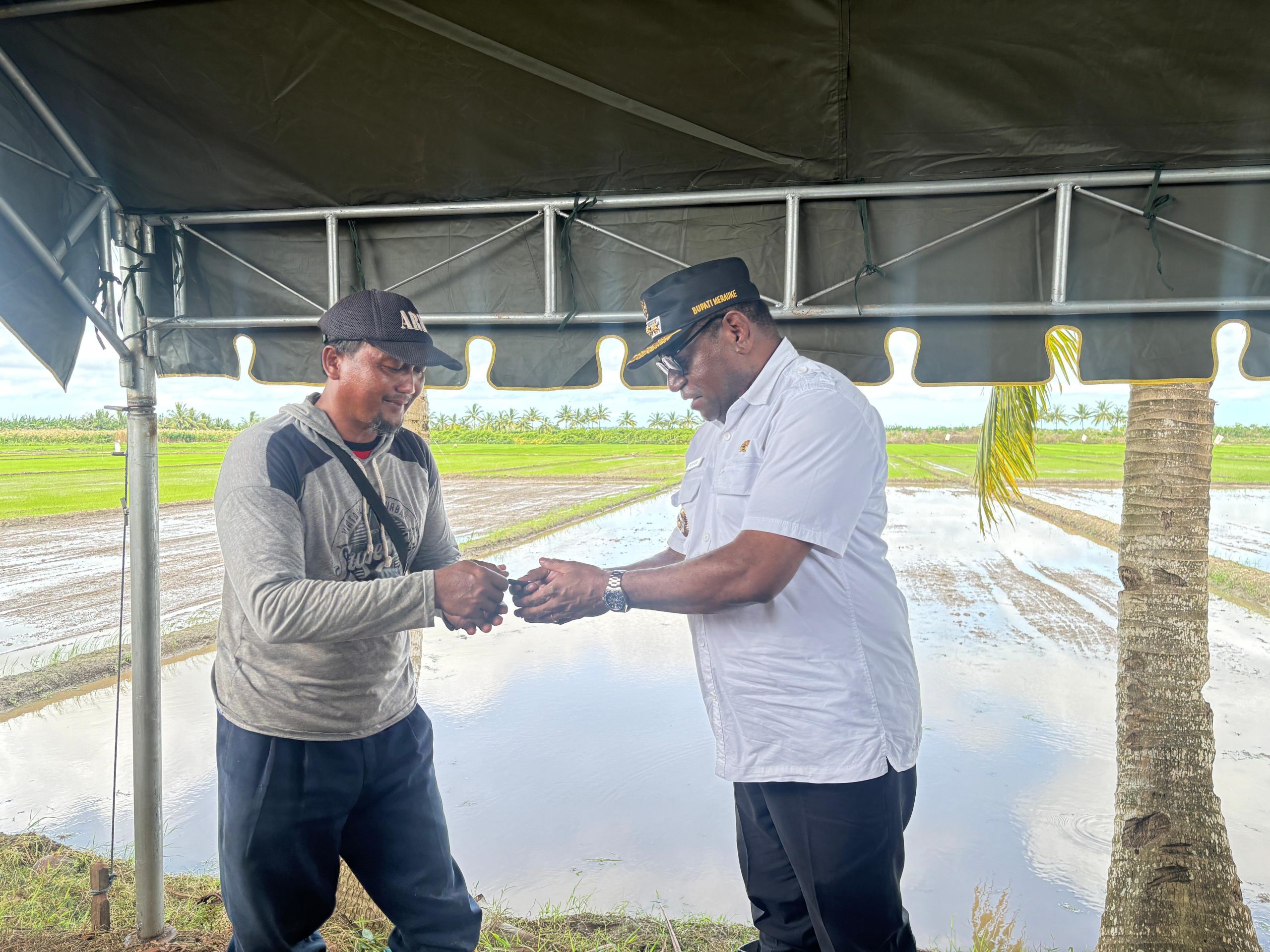 Salah seorang perwakilan masyarakat menerima secara simbolis penyerahan alsintan oleh Bupati Merauke, Yoseph Bladib Gebze – Surya Papua/Frans Kobun 